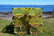 Lobster traps at water's edge. 