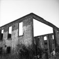 Ruins of the Consea Factory, Prince Cove, Eastport - photograph by Joyce Jackson