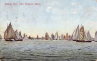 Eastport sardine fishing fleet in the harbor.