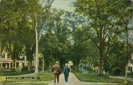 Vintage postcard of stately Calais Avenue with the Greystone - first house on the left, followed by its sister house.