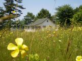 Wildflower Cottage